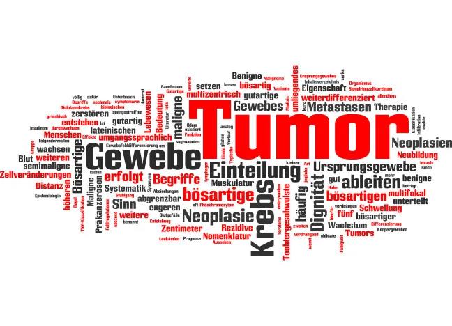 微信圖片_20200901100414.jpg 微信圖片_20200901100414.jpg