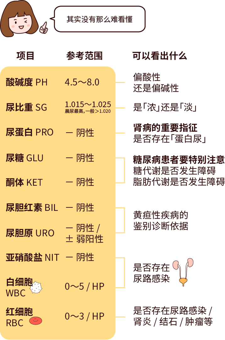排尿黃、異味大，可能是身體在報(bào)警！