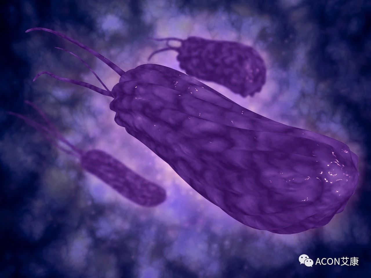 醫(yī)生總結(jié)了3位年輕胃癌患者的病例：30歲不到的他們到底干啥了？