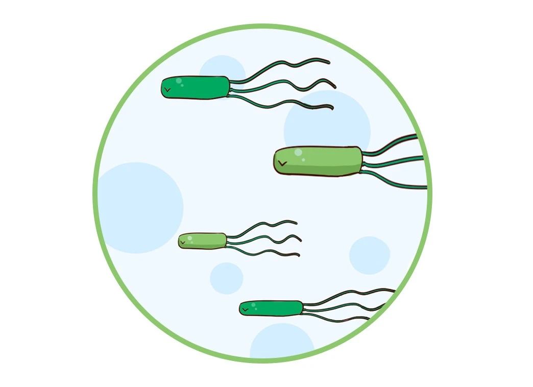 這種致癌物傳染性極強，50%中國人都有！很多人還不知道