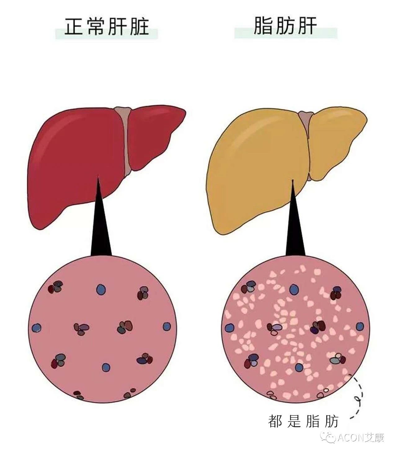 微信圖片_20210127091042.jpg 微信圖片_20210127091042.jpg