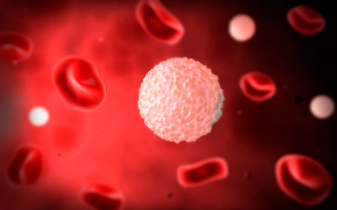 看不懂的血常規(guī)化驗單，原來背后學(xué)問這么多