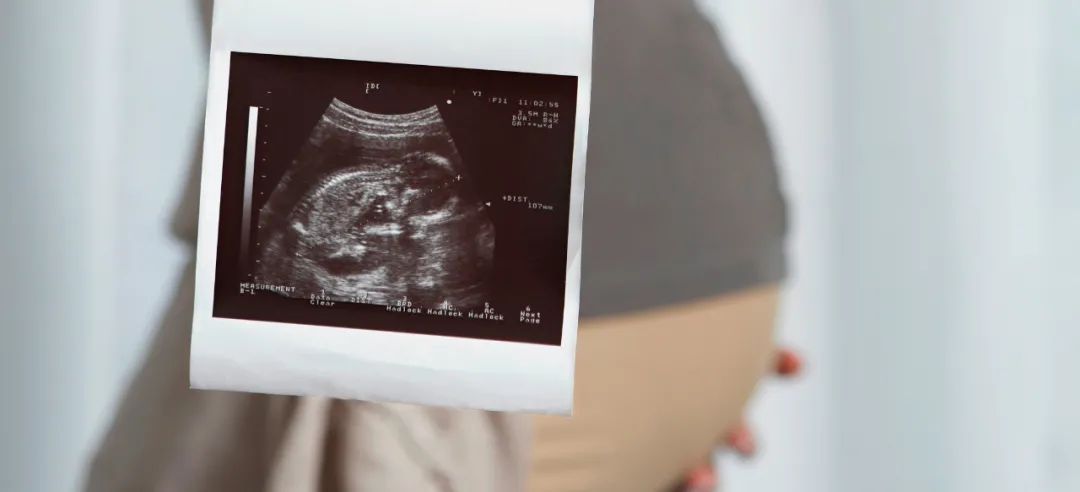 微信圖片_20211027091828.jpg 微信圖片_20211027091828.jpg