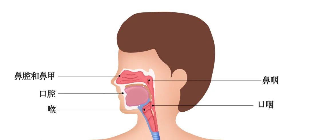 微信圖片_20220507143112.jpg 微信圖片_20220507143112.jpg