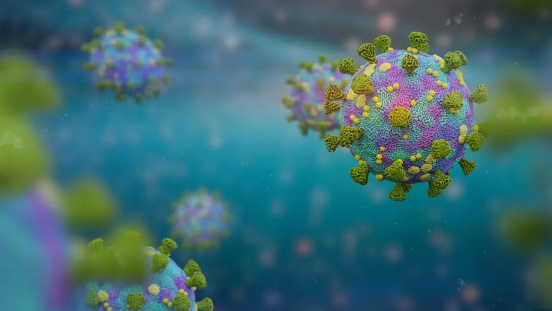 微信圖片_20220715092546.jpg 微信圖片_20220715092546.jpg