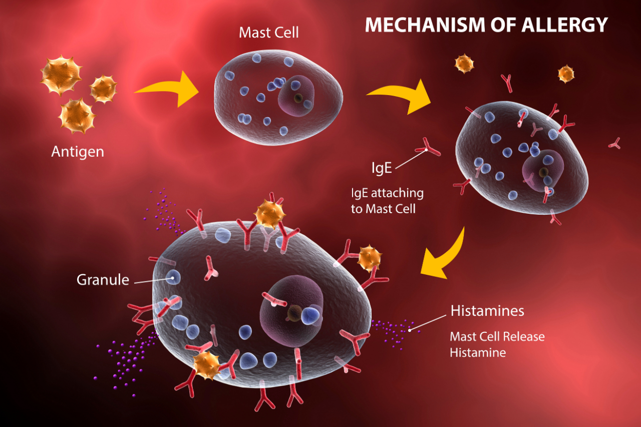微信圖片_20220812133420.jpg 微信圖片_20220812133420.jpg