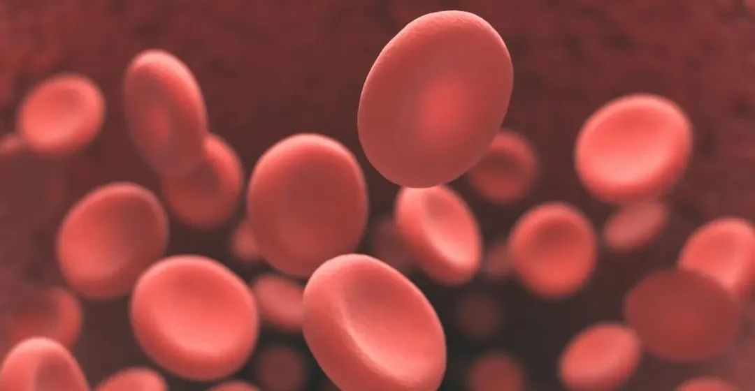 微信圖片_20220926085949.jpg 微信圖片_20220926085949.jpg