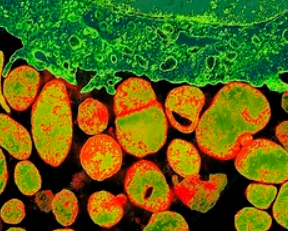 微信圖片_20220930091124.png 微信圖片_20220930091124.png