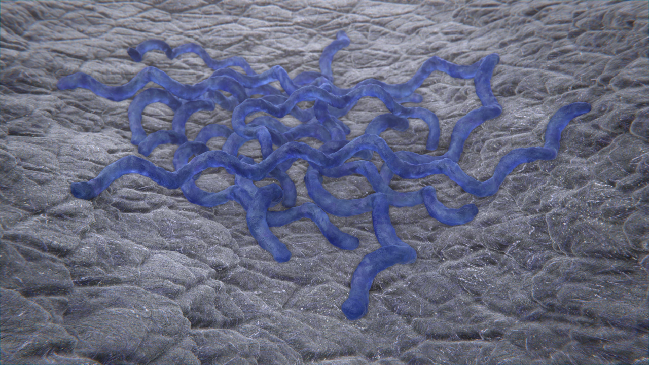 微信圖片_20230223133000.jpg 微信圖片_20230223133000.jpg