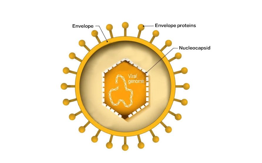 微信圖片_20231116092901.jpg 微信圖片_20231116092901.jpg