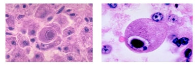 微信圖片_20231206093306.png 微信圖片_20231206093306.png