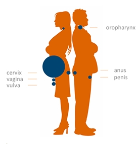 微信圖片_20231214085442.png 微信圖片_20231214085442.png