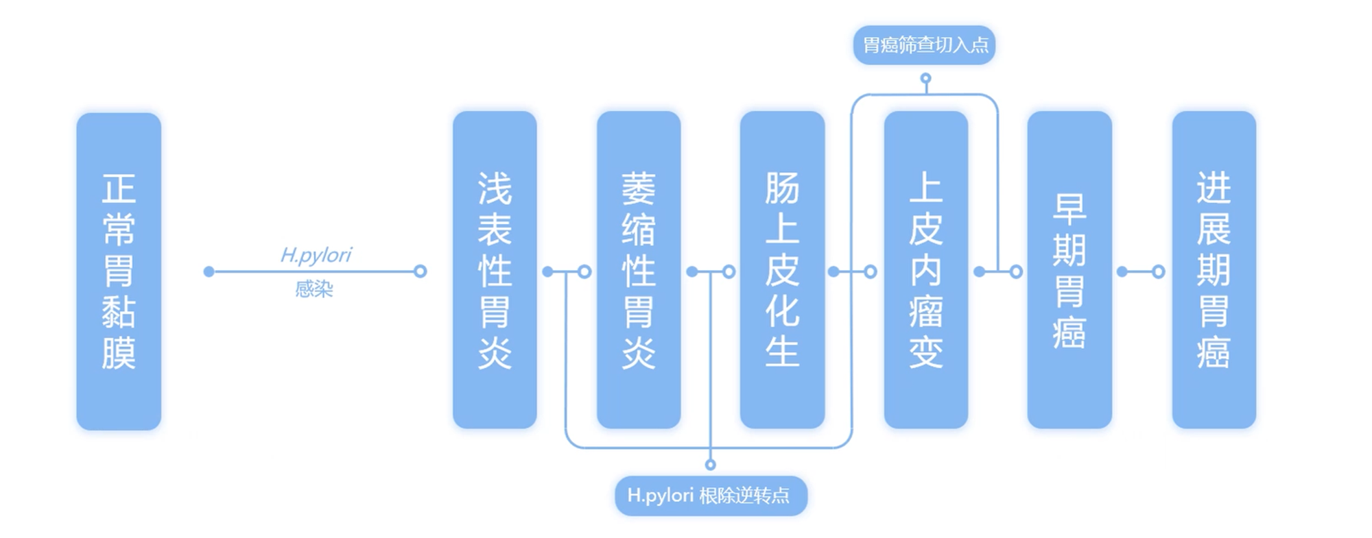 胃癌進(jìn)展流程.png 胃癌進(jìn)展流程.png